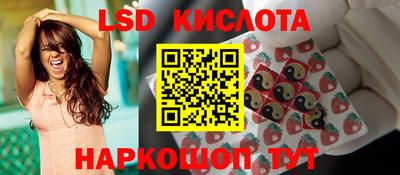 гидра Будённовск