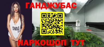 гидра Будённовск