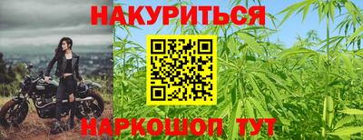 прущие грибы Бузулук