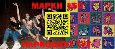 гидра Будённовск