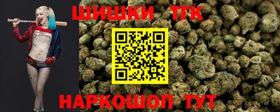 гидра Будённовск