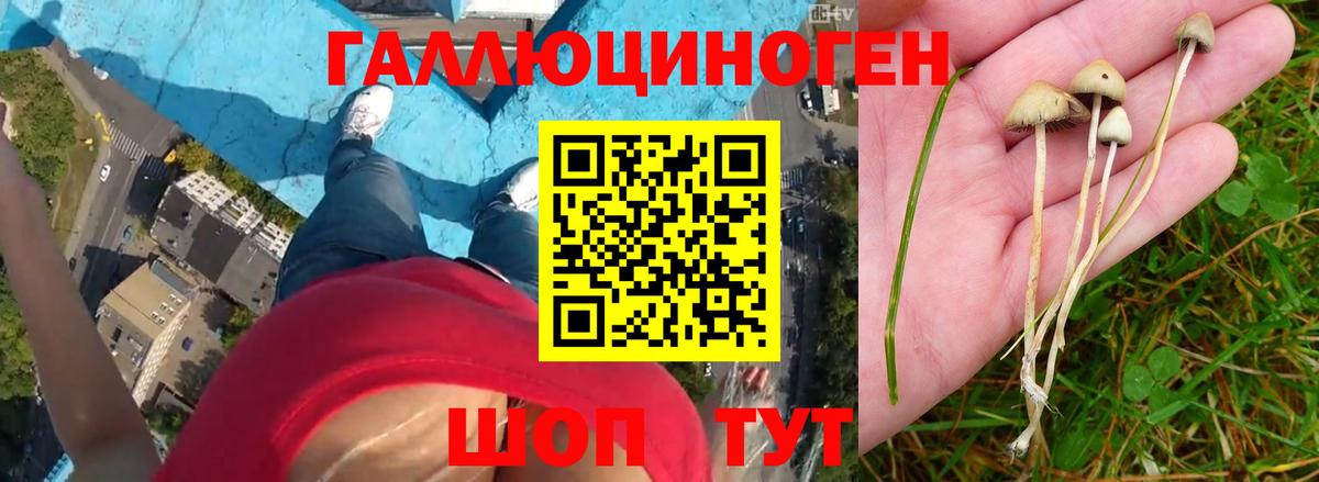 Галлюциногенные грибы ЛСД Кувандык